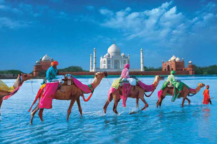 domestic_tour_packages_rajasthan