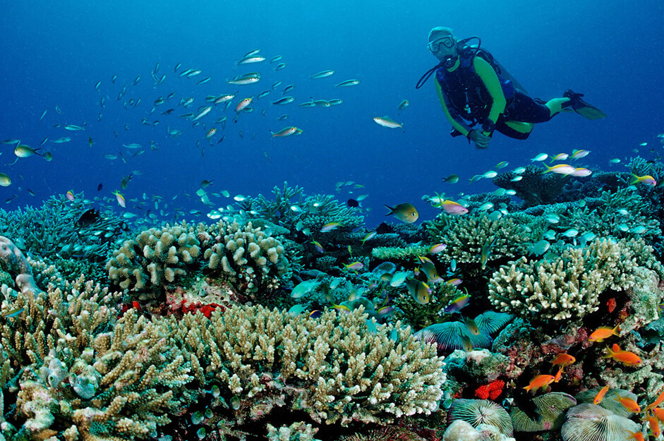 tour_packages_of_maldives-centara ras fushi