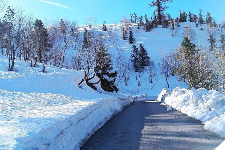 manali
